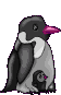 Image de pingouin 044 gif