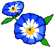 Image gif de fleurs bleues