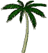 Image gif de palmier qui ondule
