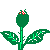 Image gif de une rose avec ses feuilles