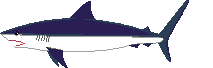 Image gif de requin bleu et blanc