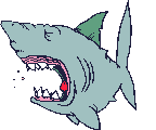 Image gif de requin fatigue