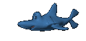 Image gif de un requin qui mange un poisson rouge