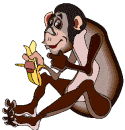 Image gif de singe qui mange une banane