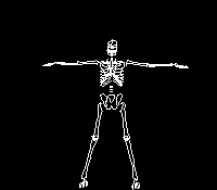 Image gif de squelette humain qui fait sa gym