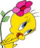 Image gif de Titi avec une fleur