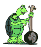 Image de tortues 051 gif