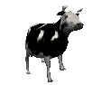 Image de vache 063 gif