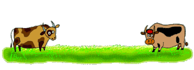Image de vache 066 gif