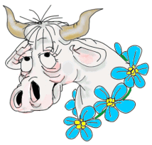 Image de vache 068 gif