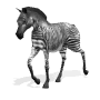 Image gif de zebre qui marche sur fond blanc