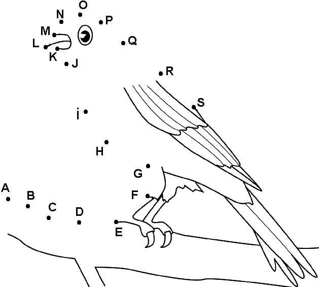 Canari sur une branche avec des points  relier