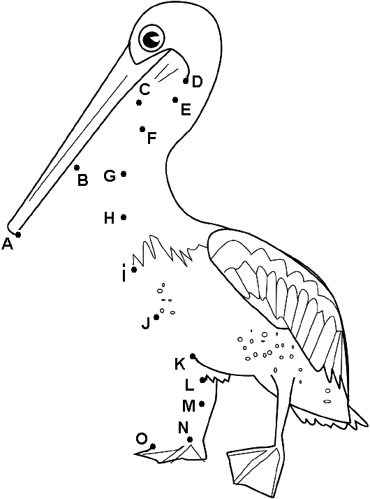 Plican avec un grand bec avec des points  relier