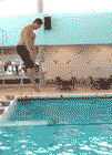 Plongeon piscine